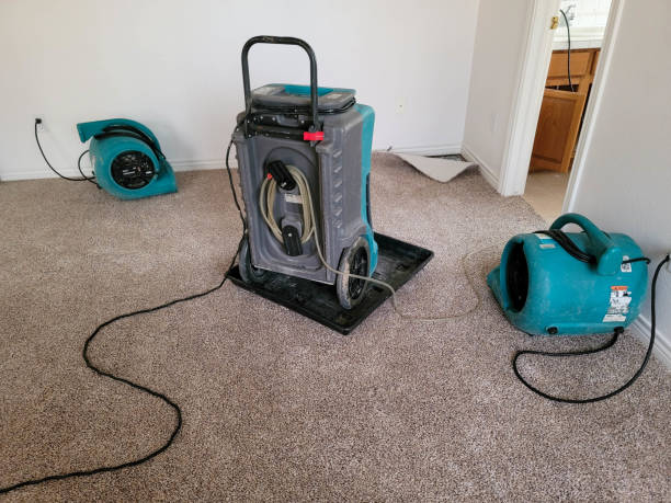 Best Local water damage restoration  in Montara, CA