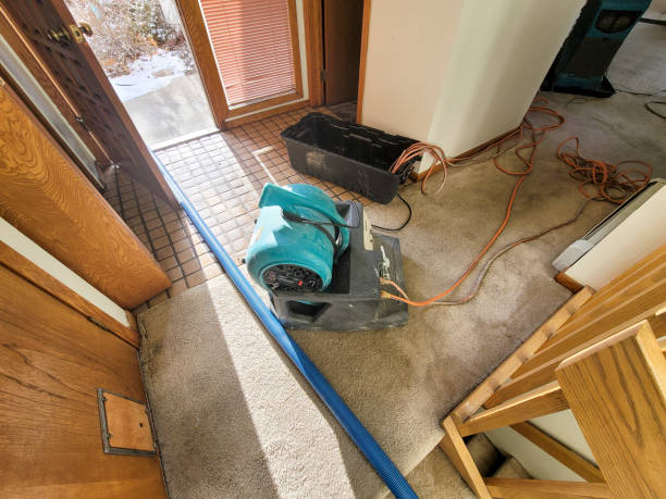 Best Commercial water damage restoration  in Montara, CA