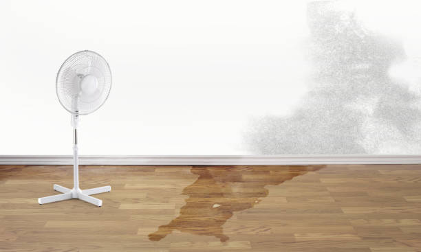 Best Water damage cleanup near me  in Montara, CA