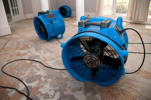 Best Sewage cleanup and water damage restoration  in Montara, CA