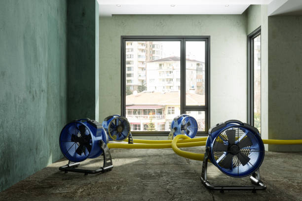 Best Water damage repair service  in Montara, CA