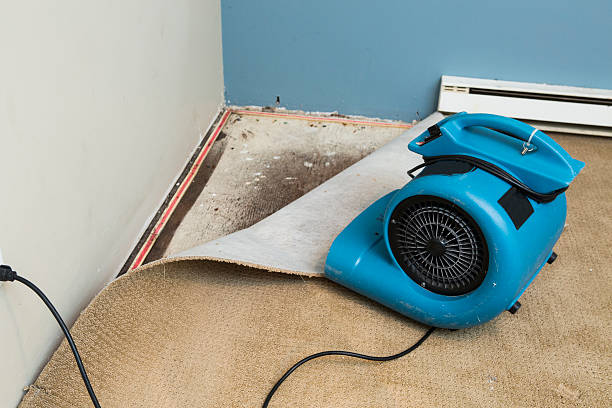 Best Water damage restoration near me  in Montara, CA